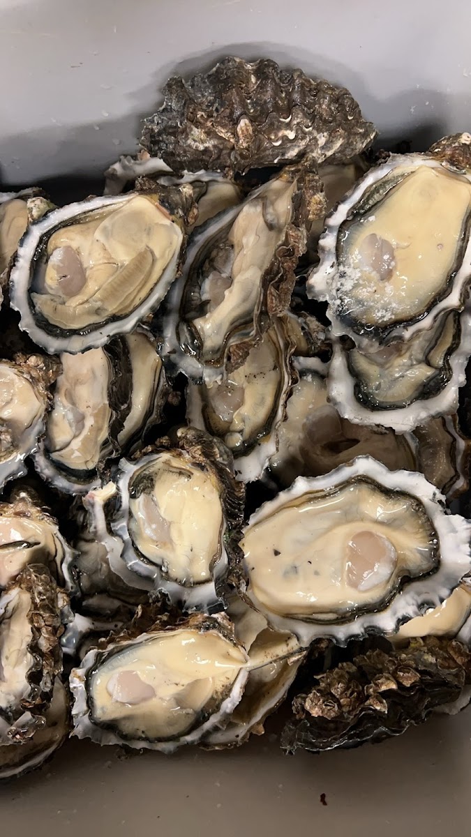 Chuan Men Er Rowland Heights Photos 2